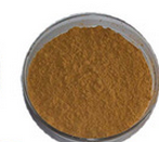Natural Capparis spinosa Seed Powder Natural Capparis spinosa Seed Powder