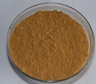 Natural Dryopteris filix-mas Extract Natural Dryopteris filix-mas Extract