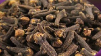 Obtuseleaf Erycibe Stem Extract Obtuseleaf Erycibe Stem Extract