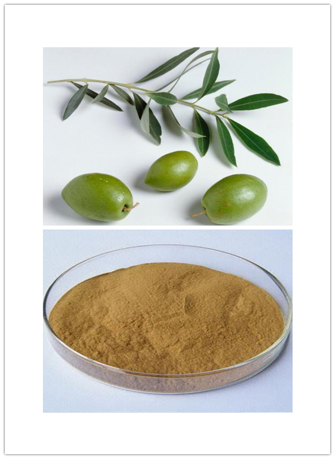 Olive Leaf Extract Olive Leaf Extract
