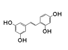 Oxyresveratrol Oxyresveratrol