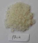 PA12 PA12