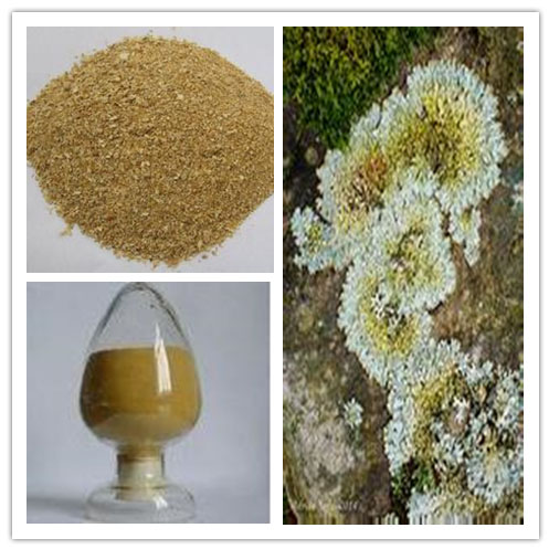Parmelia Saxatilis Extract Parmelia Saxatilis Extract