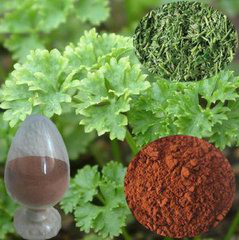 Parsley P.E. Parsley P.E.