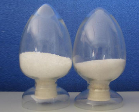 Pilsicainide Pilsicainide