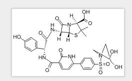Piridicillin Piridicillin