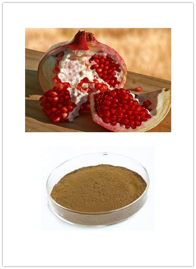 Pomegranate Extract Pomegranate Extract