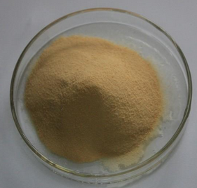 Primula Root Extract Primula Root Extract