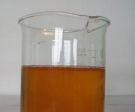 Primula Root Liquid Extract Primula Root Liquid Extract