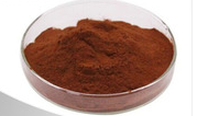 Proanthocyanidin Proanthocyanidin