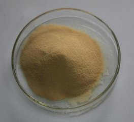 Pullulanase Pullulanase