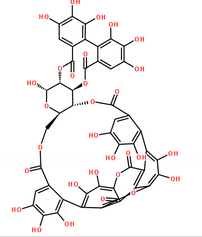 Punicalagin Punicalagin