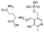 Pyridoxal 5-Phosphate Pyridoxal 5-Phosphate