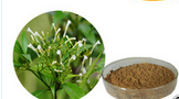 Rauwolfia vomitoria extract Rauwolfia vomitoria extract