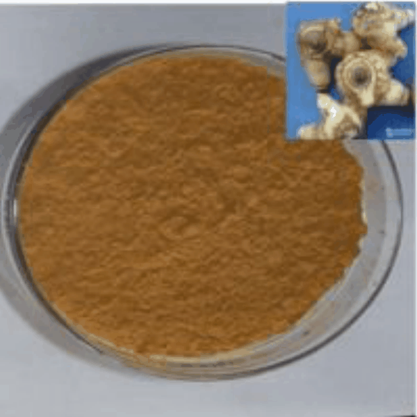 Rhizoma bletillae extract Rhizoma bletillae extract