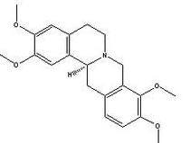 Rotundine Rotundine