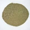Saccharifying enzyme Saccharifying enzyme