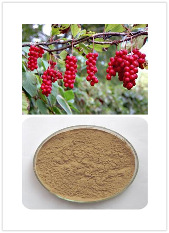 Schisandra Extract