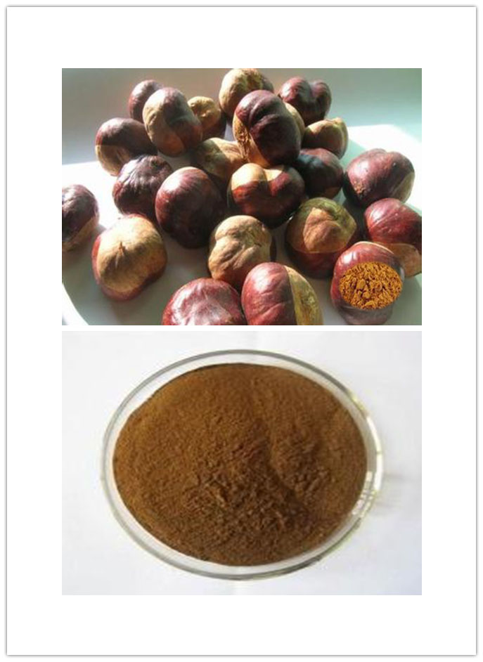 Semen Aesculi Extract Semen Aesculi Extract