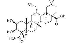 Senegenin Senegenin