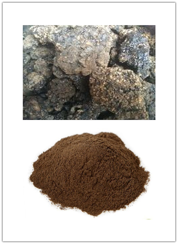 Shilajit Extract Shilajit Extract