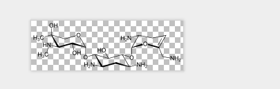 Sisomicin Sisomicin