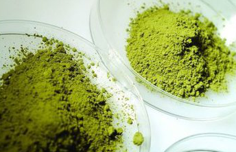 Sodium Magnesium Chlorophyllin Sodium Magnesium Chlorophyllin