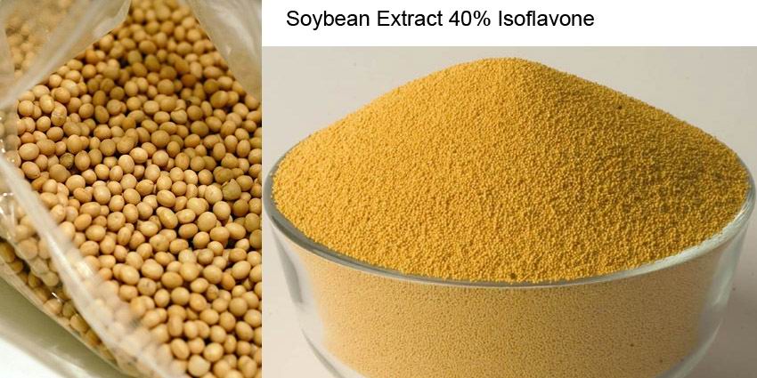 Soy Extract Soy Extract