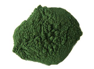 Spirulina Extract Spirulina Extract