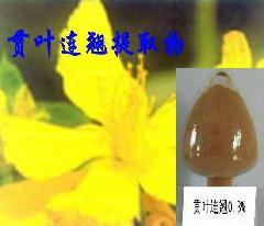 St.John's Wort Extract St.John's Wort Extract