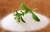 Stevia leaf Extract Stevia leaf Extract