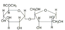 Sucrose Fatty Acid Esters Sucrose Fatty Acid Esters