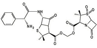 Sultamicillin Sultamicillin