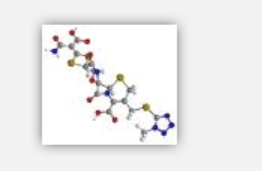 Synthomycin Palmitas Synthomycin Palmitas