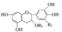 Tea polyphenol Tea polyphenol
