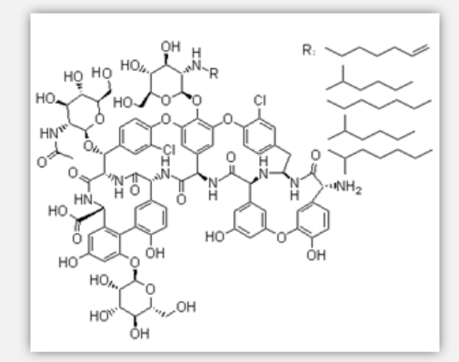Teichomycin