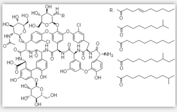 Teicoplanin A2 Teicoplanin A2
