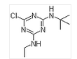 Terbuthylazine Terbuthylazine