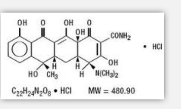 Tetracycline Hydrochloride Tetracycline Hydrochloride