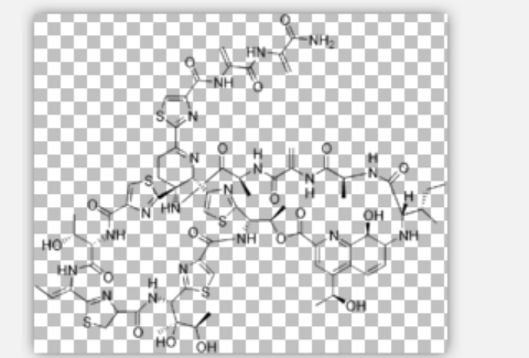 Thiostrepton Thiostrepton