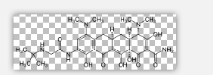 Tigecycline Tigecycline