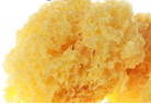 Tremella fuciformis Extract Tremella fuciformis Extract