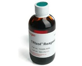 Trizol Trizol