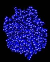 Trypsin Trypsin