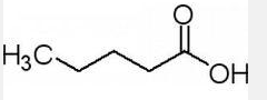 Valerian Extract Valerian Extract