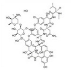 Vancomycin Vancomycin