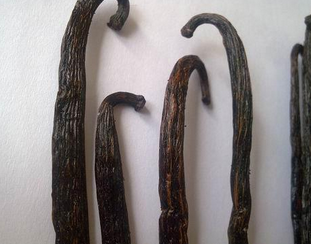 Vanilla Bean Extract Vanilla Bean Extract