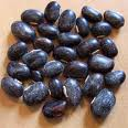 Velvet Bean Velvet Bean