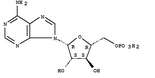 Vidarabine Monophosphate Vidarabine Monophosphate