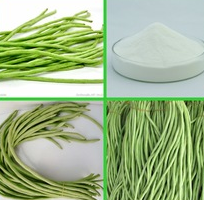 Vigna unguiculata extract Vigna unguiculata extract